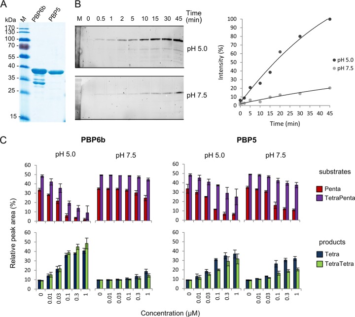 FIG 3 