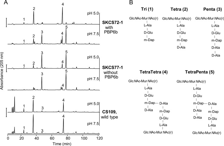 FIG 1 