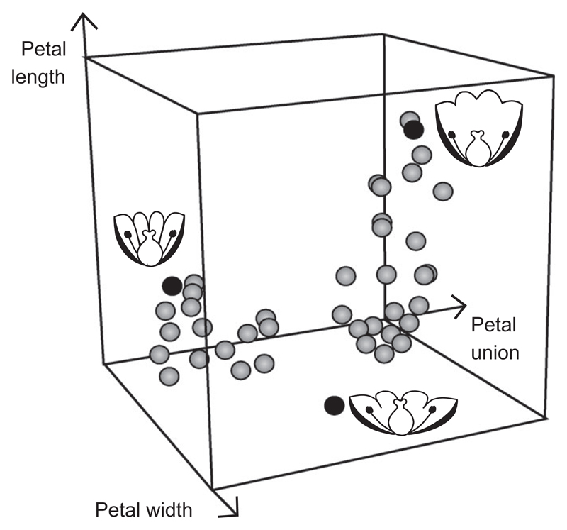 Fig. 1