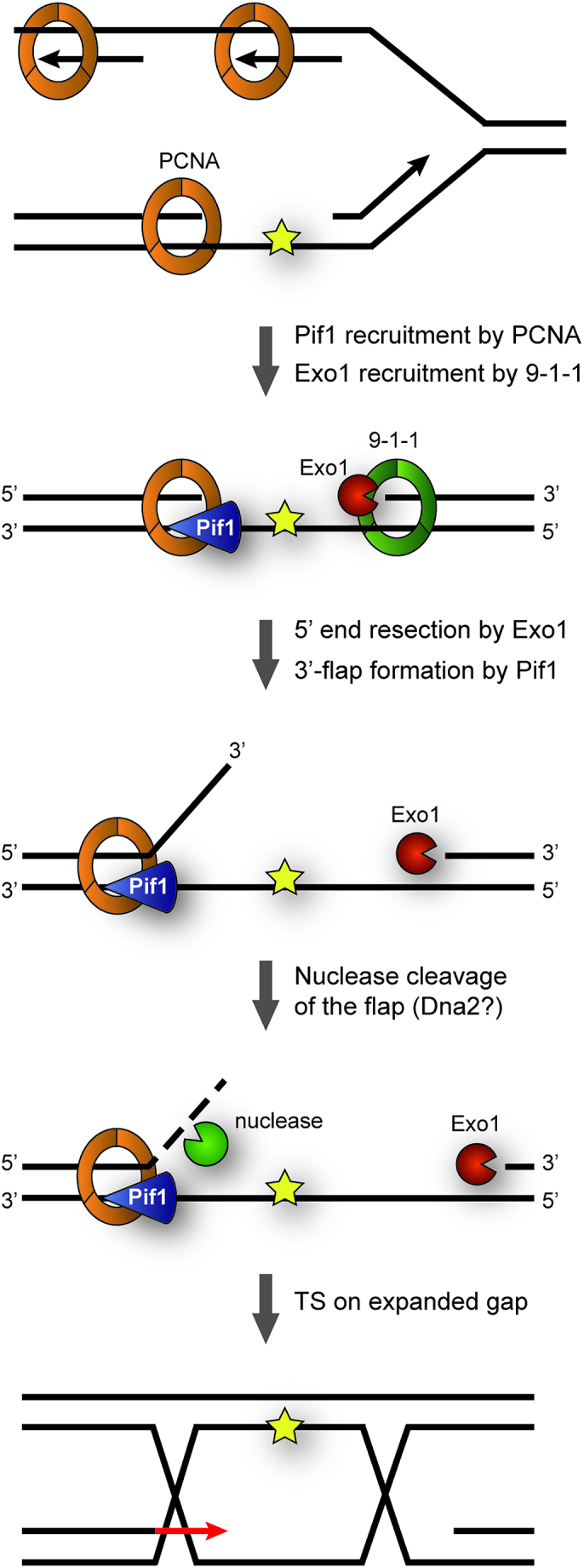 Figure 6.