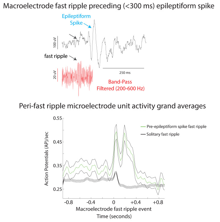 Graphical Abstract