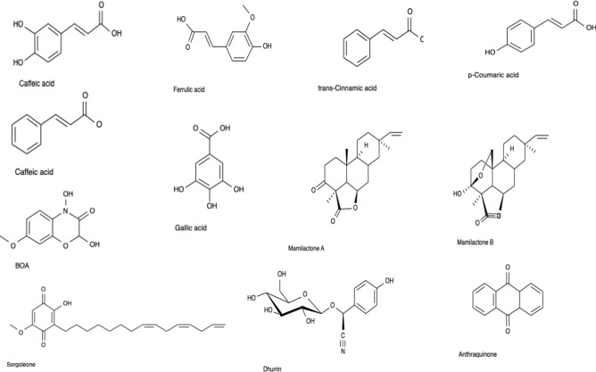 Fig.2