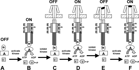 FIG. 5.