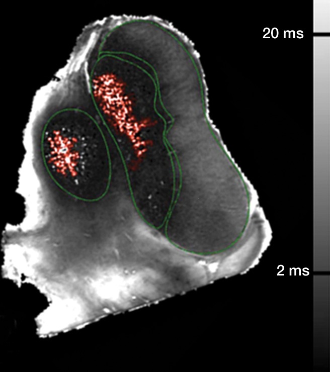 Figure 3b: