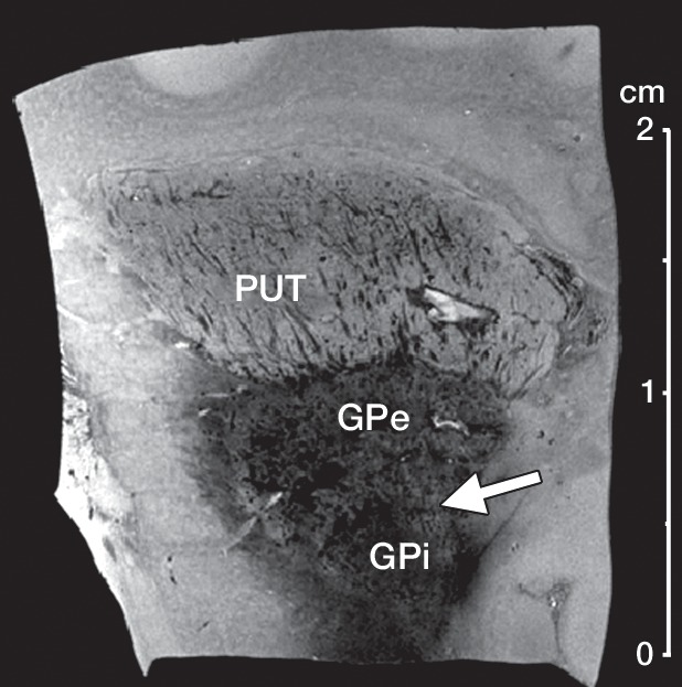 Figure 4a: