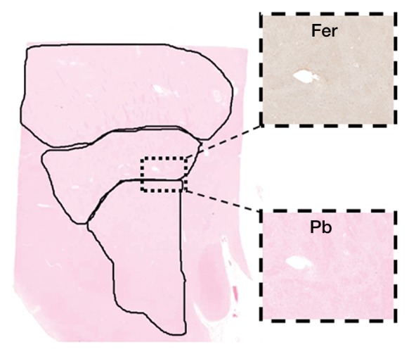 Figure 2c: