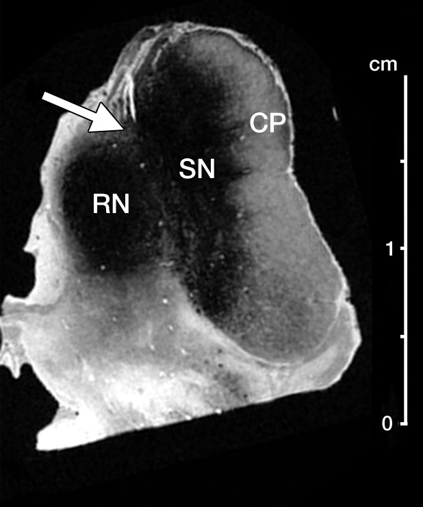 Figure 3a: