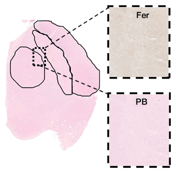 Figure 1c: