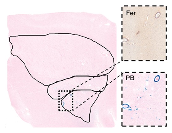 Figure 4c: