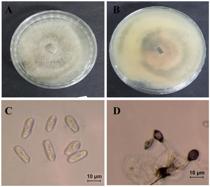 Fig 14