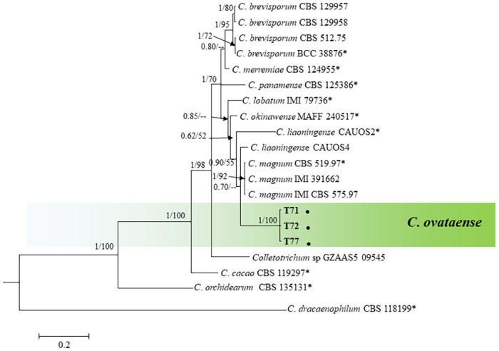 Fig 6