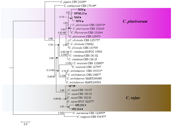 Fig 5