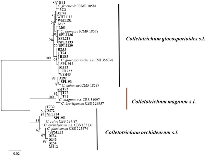 Fig 3