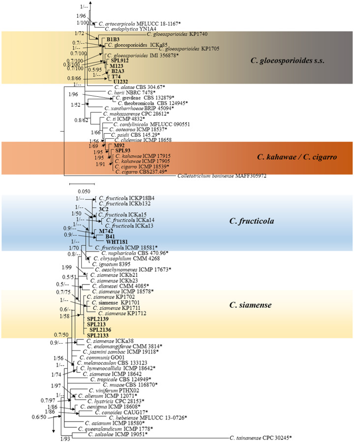 Fig 4