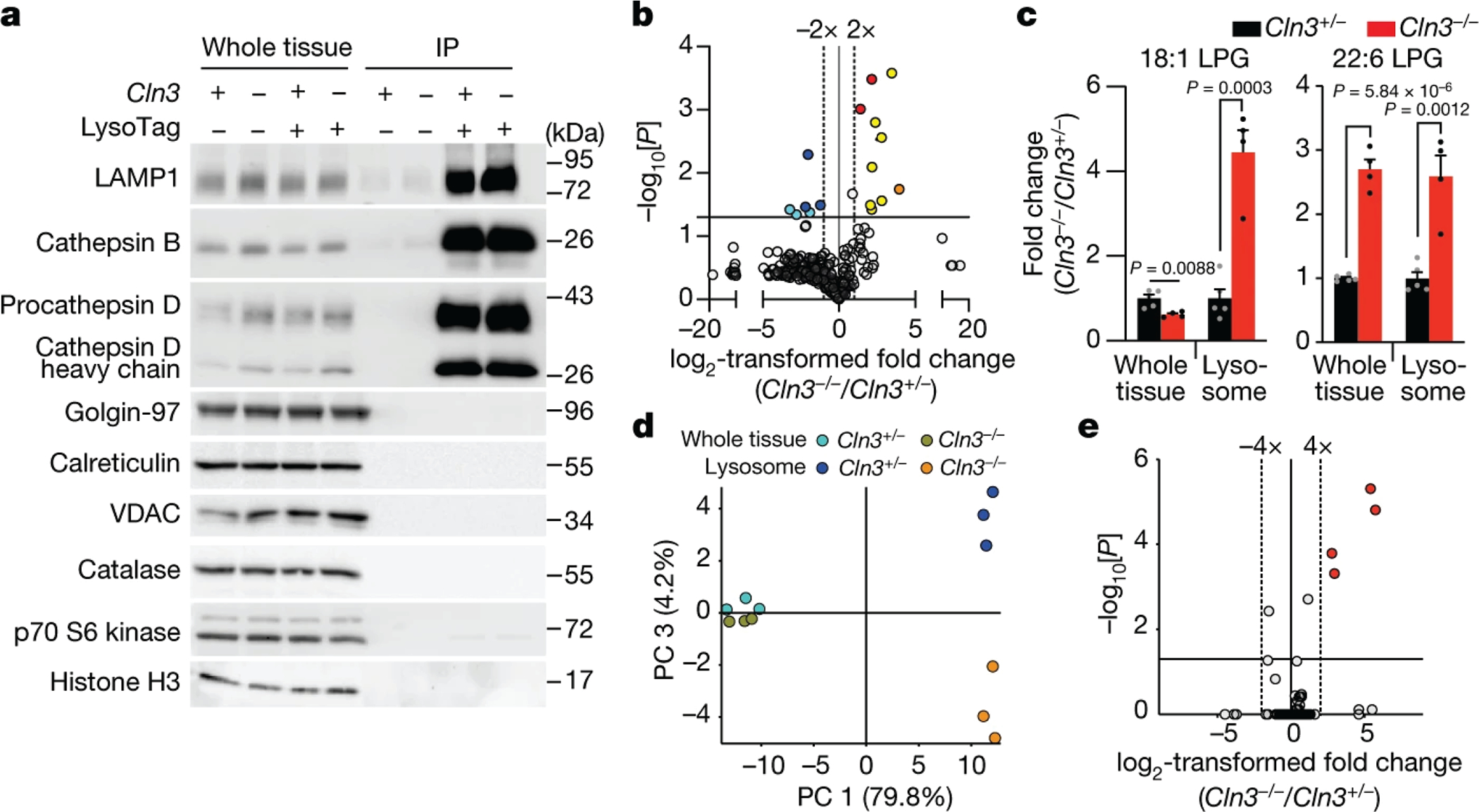 Fig. 2: