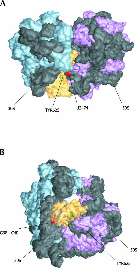 FIGURE 6.