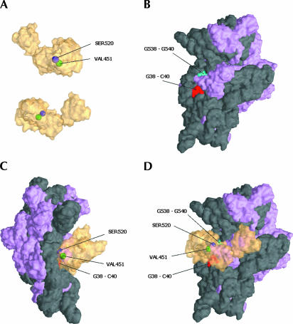 FIGURE 4.