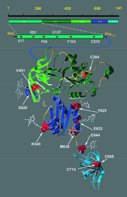 FIGURE 1.