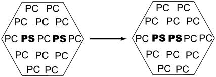 SCHEME I