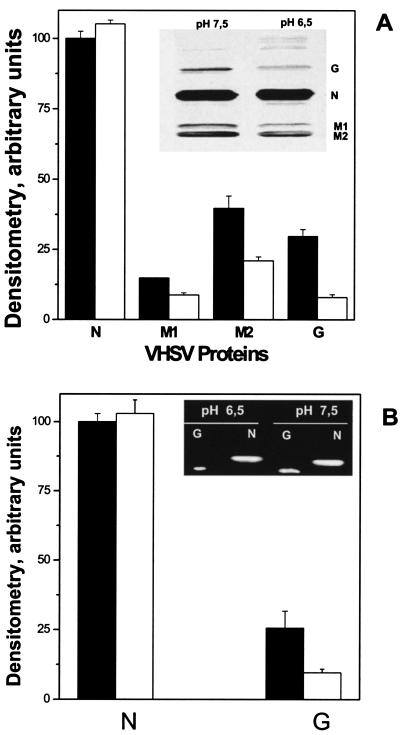 FIG. 5.