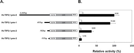 Fig. 8.