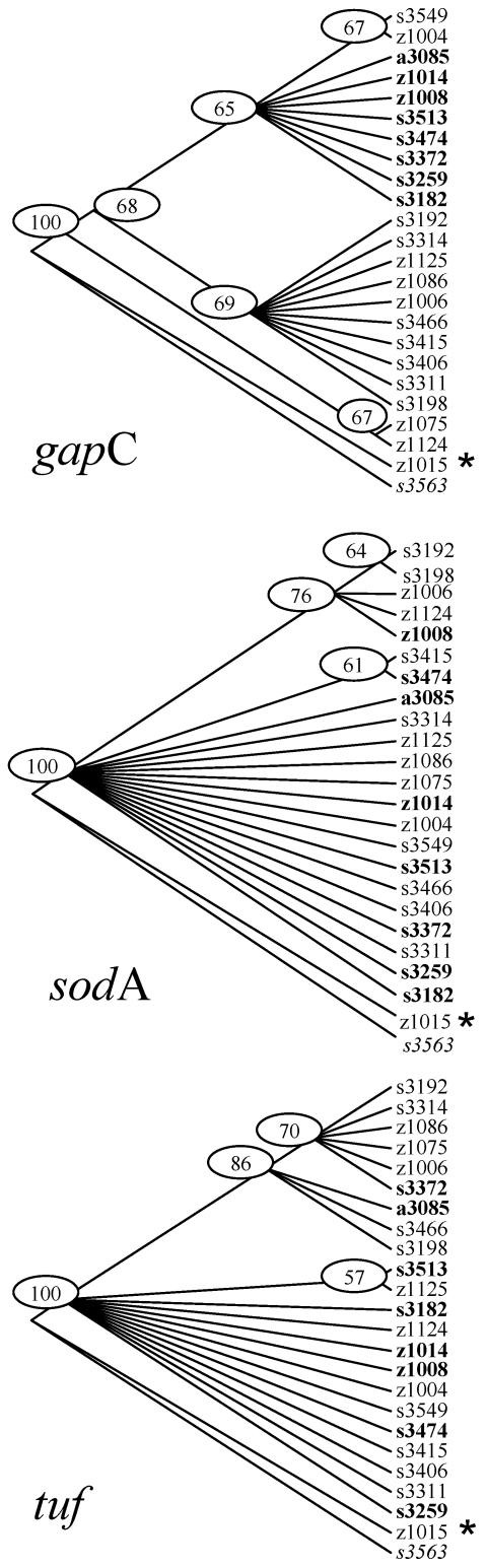 FIG. 1.