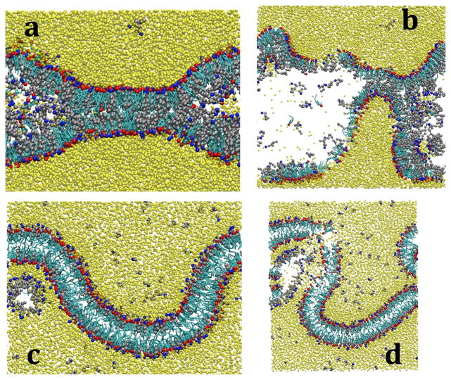 Figure 13