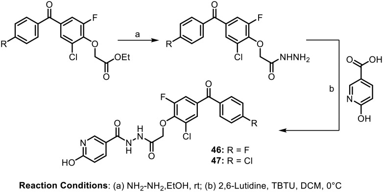 Scheme 18