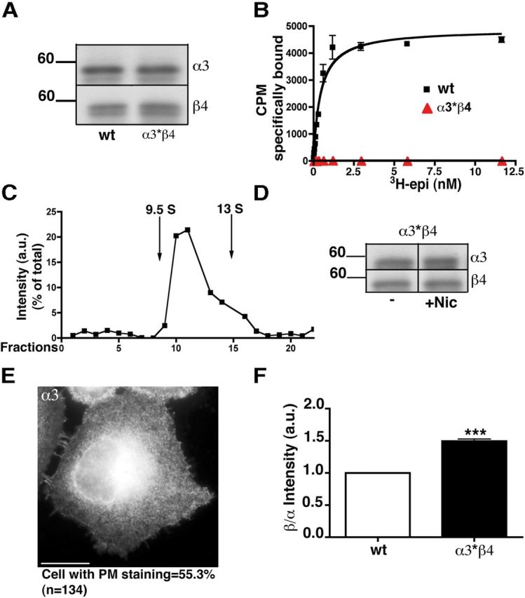 Figure 9.