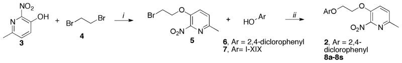 Scheme 1