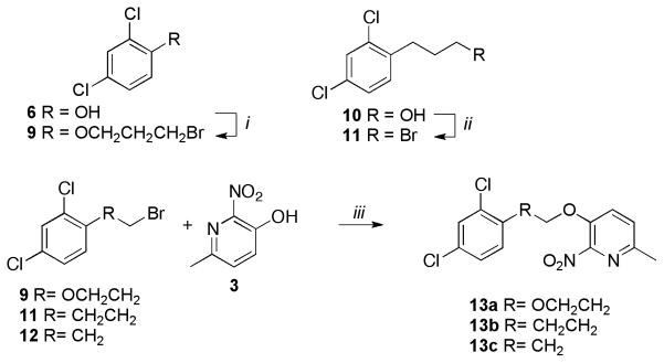 Scheme 2