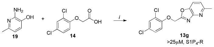 Scheme 6