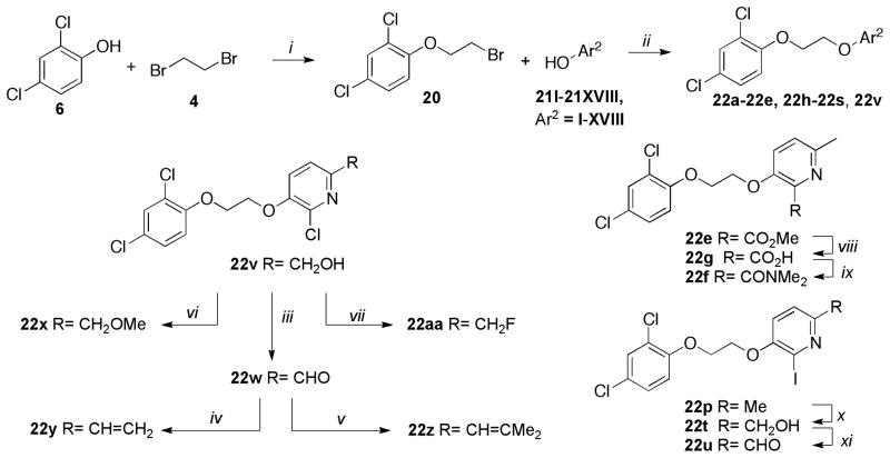 Scheme 7