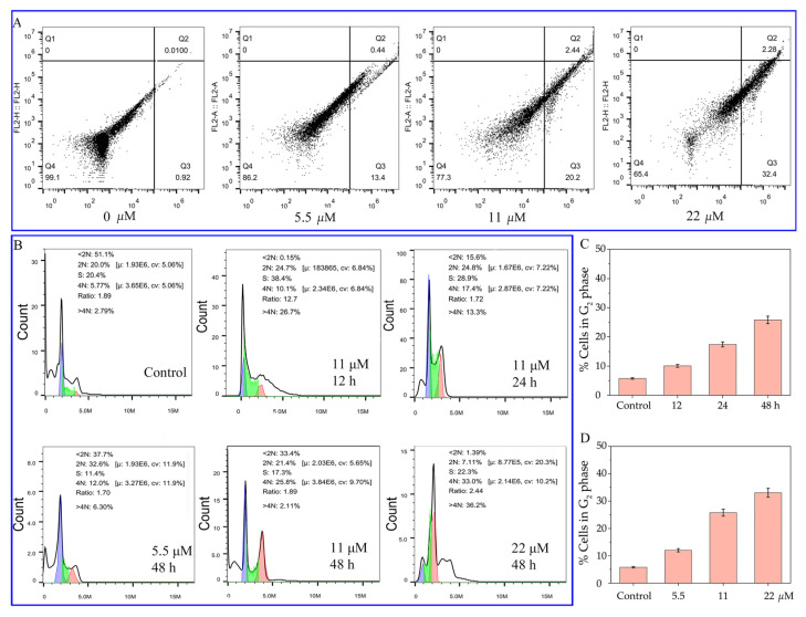 Photoinduced Synthesis Of Methylated Marine Cyclopeptide Galaxamide 