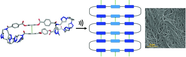 graphic file with name c8cc04742a-ga.jpg