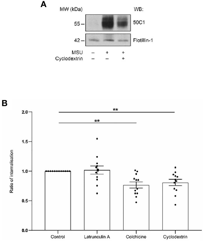 Figure 2