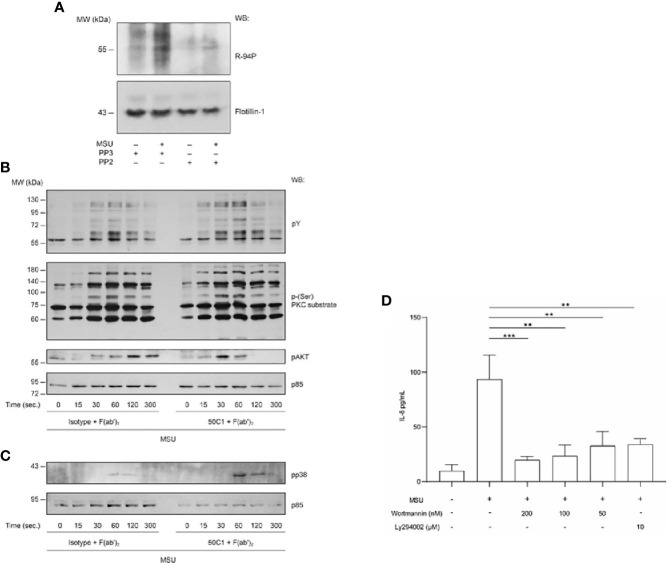 Figure 6