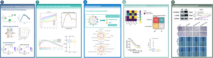 Image, graphical abstract