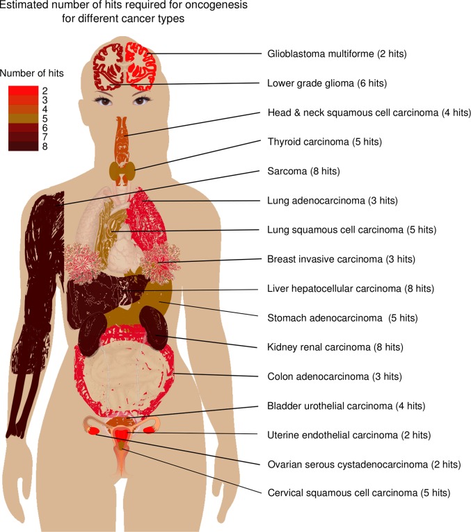 Fig 4