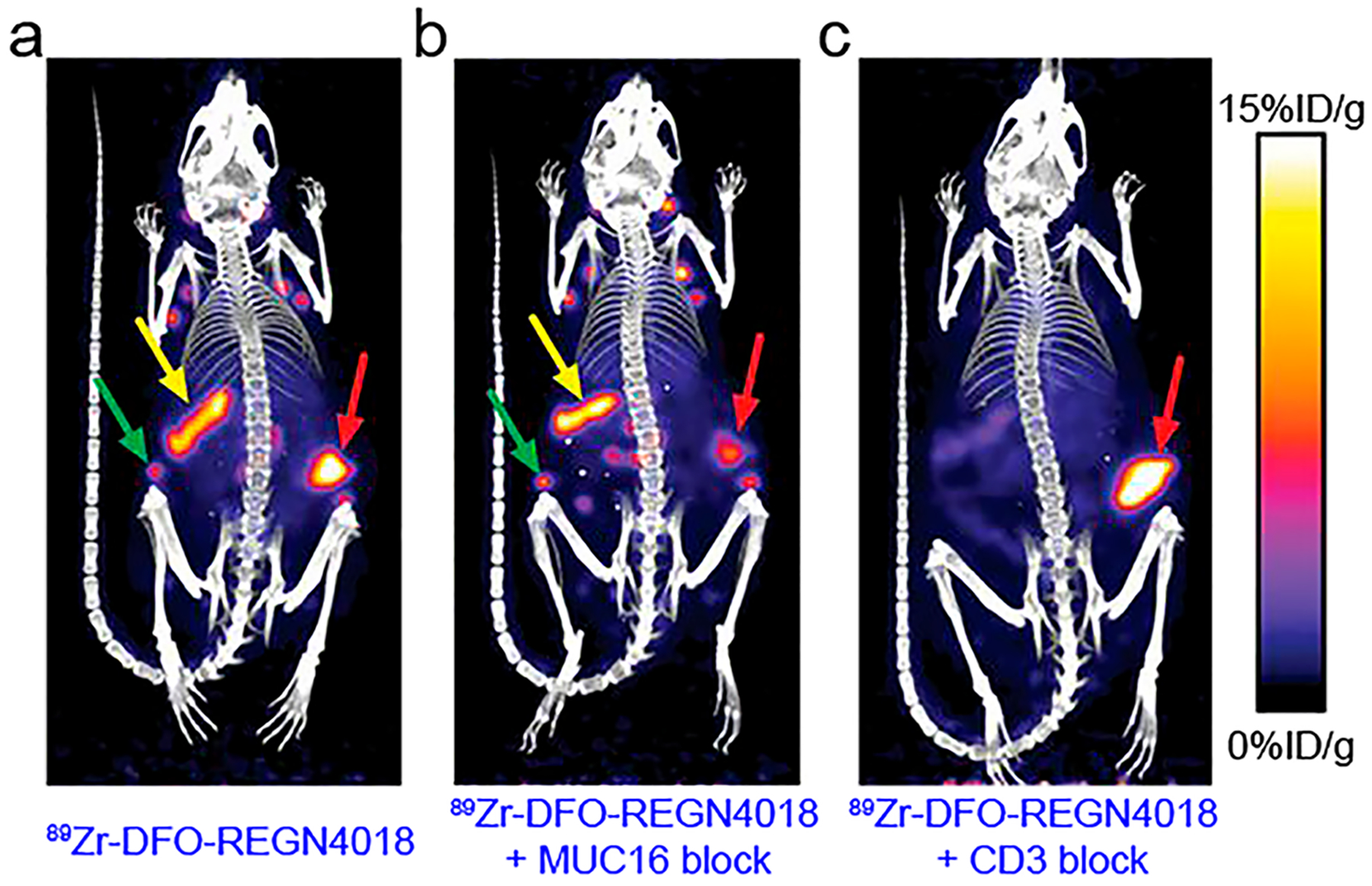 Immunopet concept design and applications pubmed