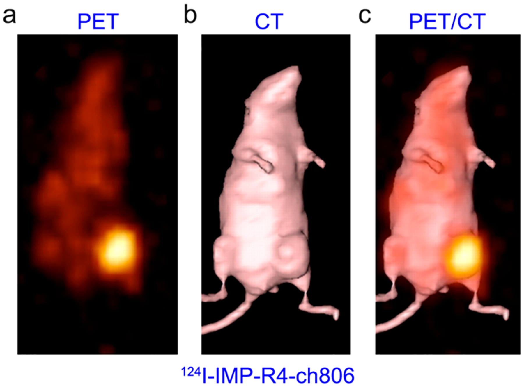 Immunopet concept design and applications pubmed