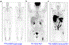 Figure 21.