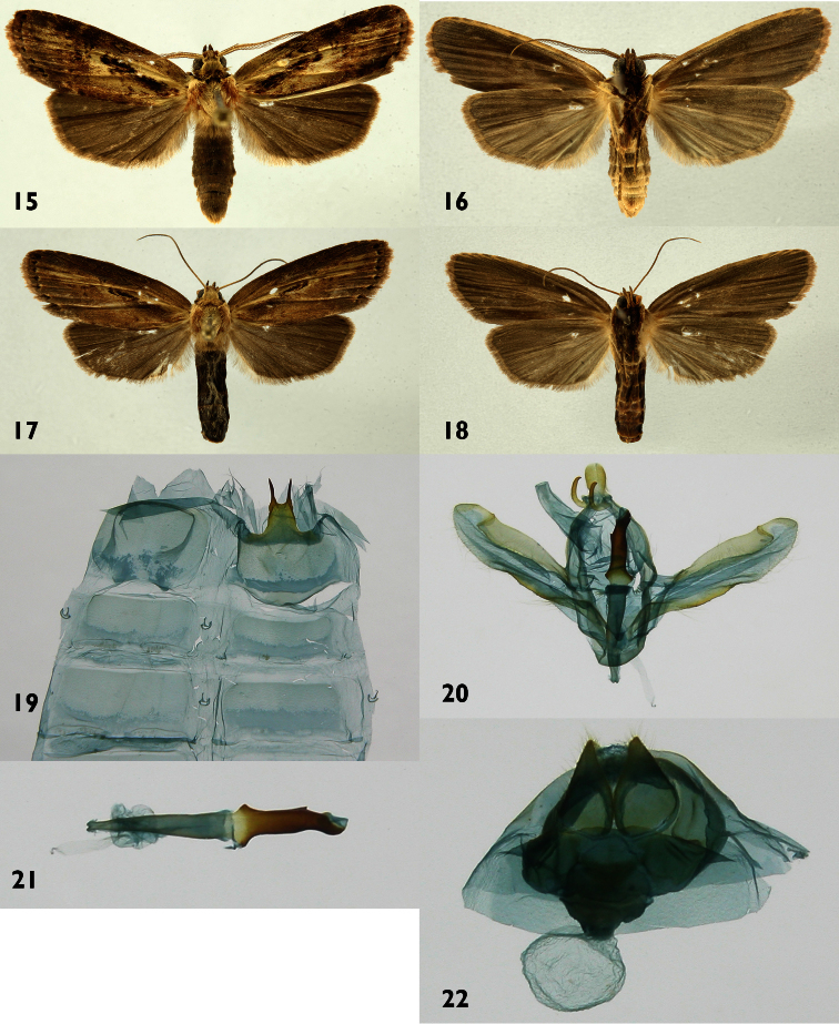 Figures 15–22.