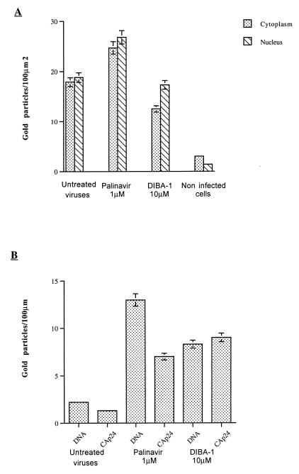 FIG. 6
