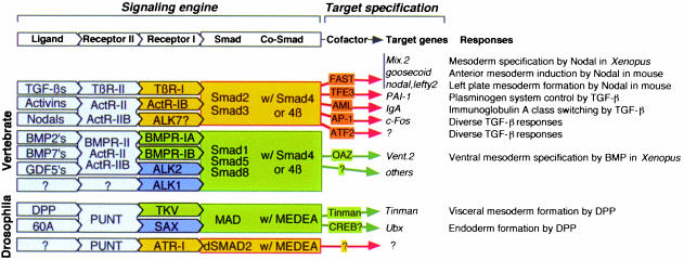 graphic file with name cdd179f4.jpg