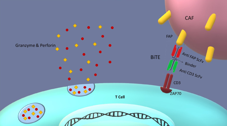 Figure 5