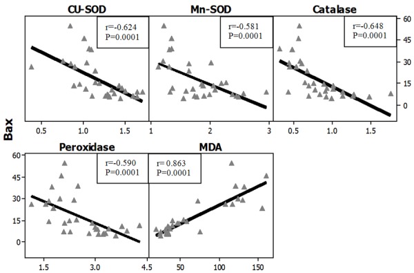 Figure 28