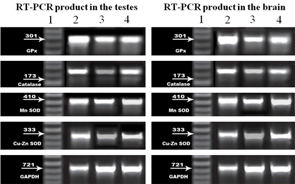 Figure 29