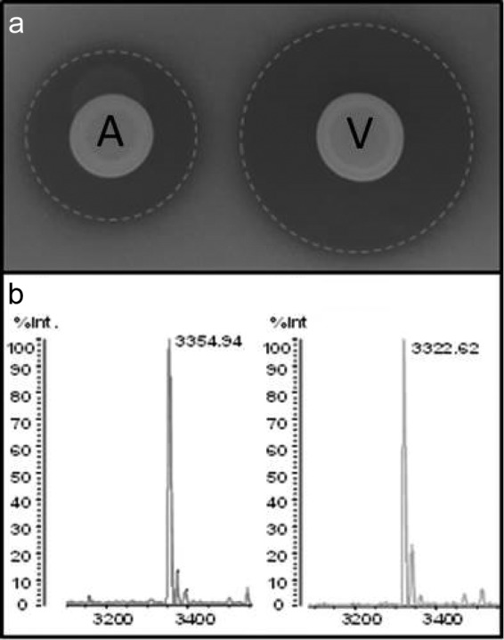 FIG 1