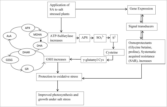 Figure 7.